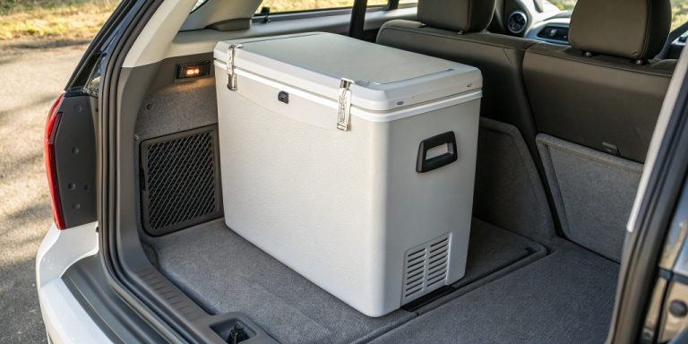 Modern portable refrigerator placed in a car trunk, illustrating consumer preferences for compact, convenient, and energy-efficient cooling solutions