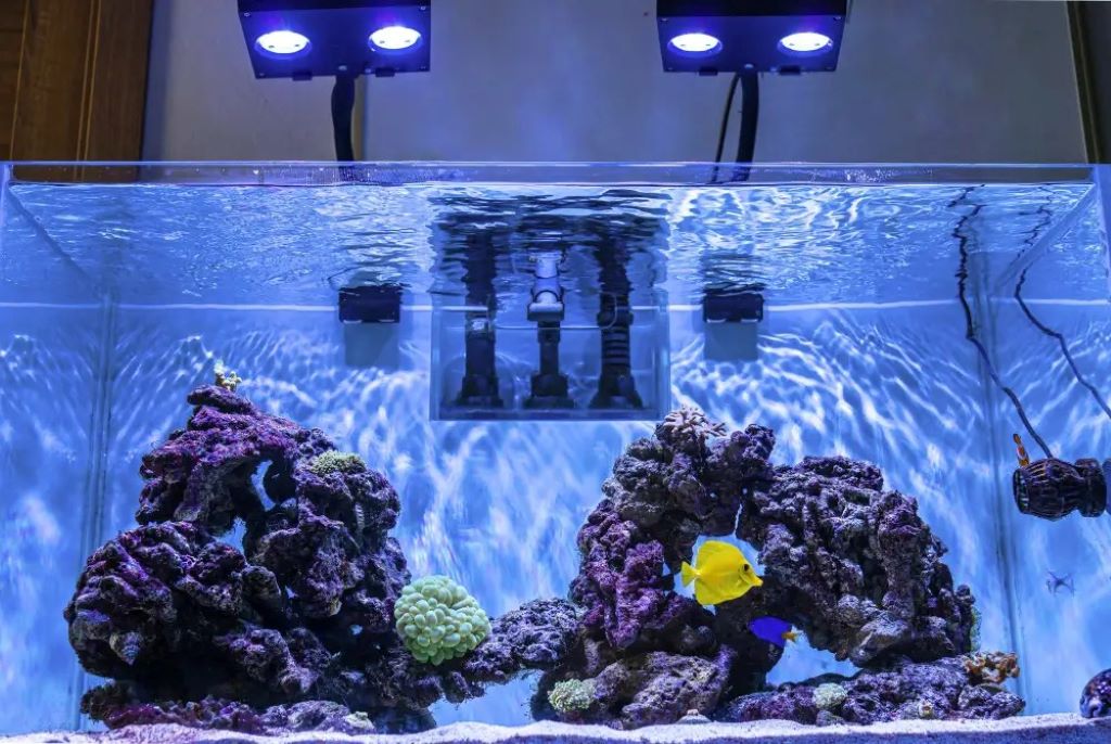 An organized reef tank sump showing a heater and a chiller connected to an external temperature controller